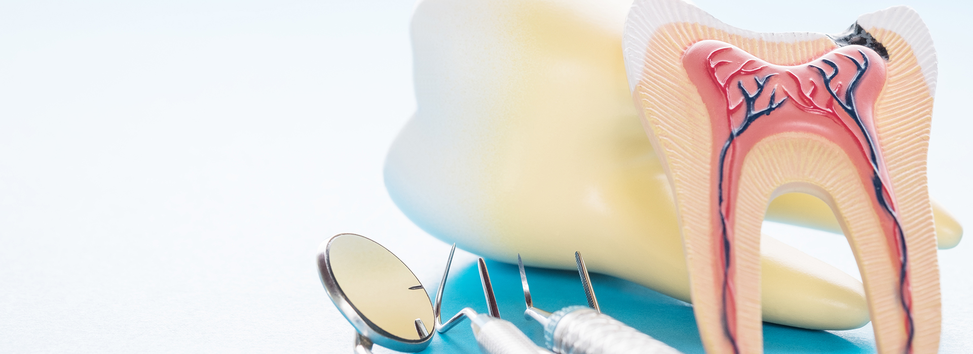 Steven R. Feigelson, DDS | Teeth Whitening, CAD CAM Technology and Gum Treatment